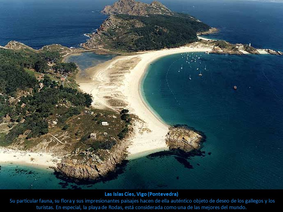 Las Islas Cíes, Vigo (Pontevedra) Su particular fauna, su flora y sus impresionantes paisajes hacen de ella auténtico objeto de deseo de los gallegos y los turistas.