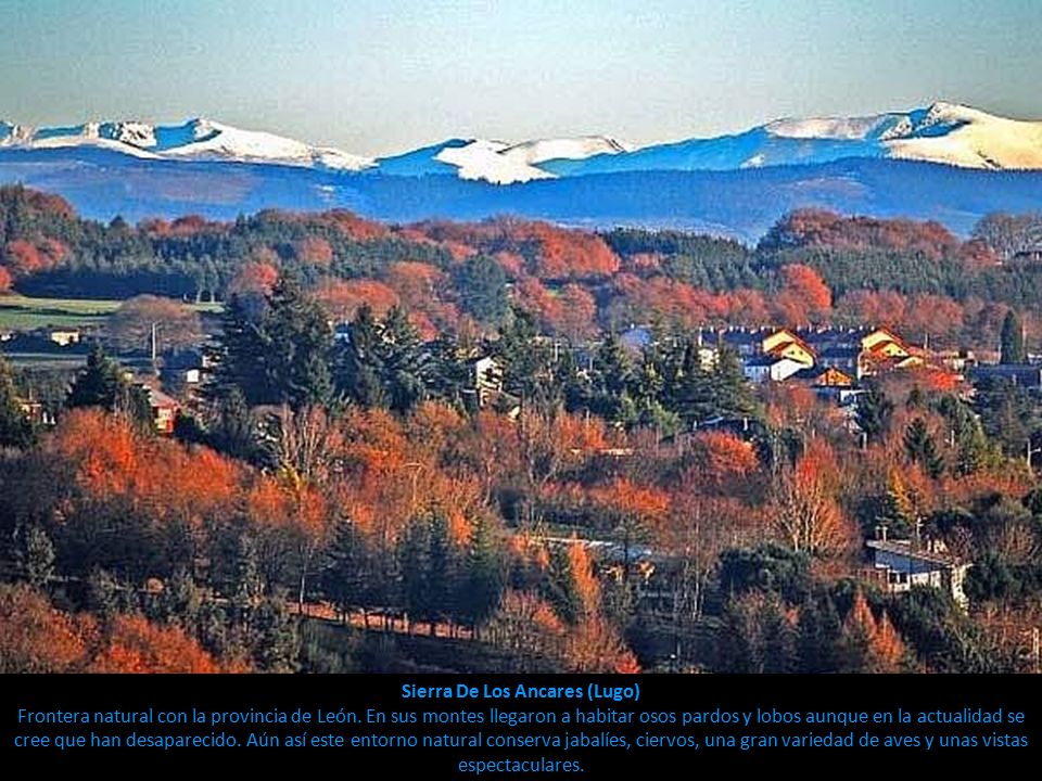 Sierra De Los Ancares (Lugo) Frontera natural con la provincia de León