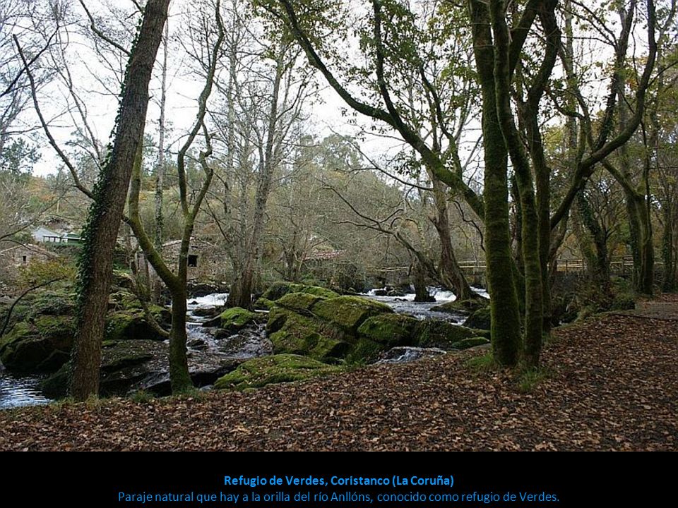 Refugio de Verdes, Coristanco (La Coruña) Paraje natural que hay a la orilla del río Anllóns, conocido como refugio de Verdes.