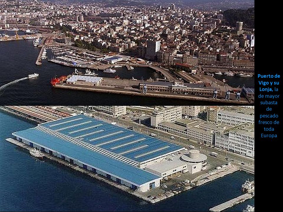 Puerto de Vigo y su Lonja, la de mayor subasta de pescado fresco de toda Europa