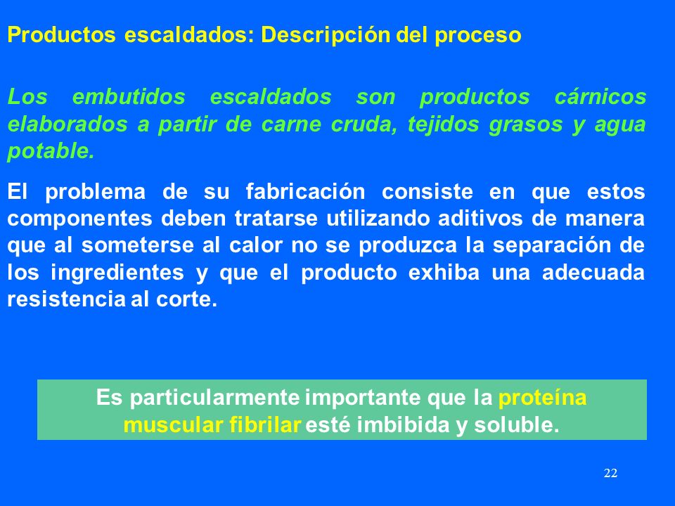 Productos escaldados: Descripción del proceso