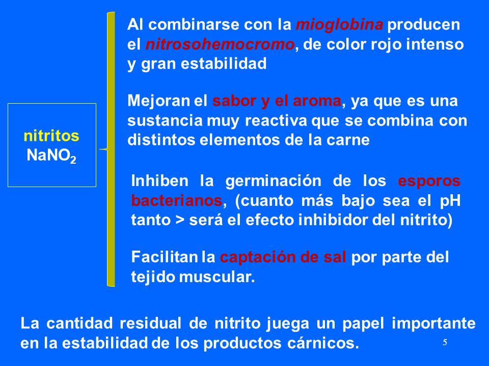 Facilitan la captación de sal por parte del tejido muscular.