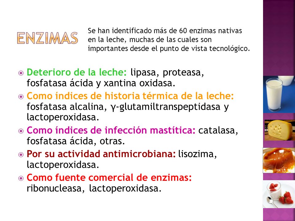 enzimas Se han identificado más de 60 enzimas nativas en la leche, muchas de las cuales son importantes desde el punto de vista tecnológico.