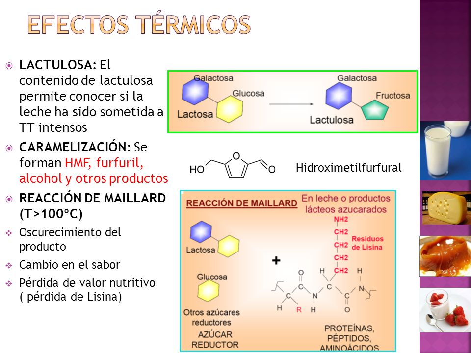 Efectos térmicos LACTULOSA: El contenido de lactulosa permite conocer si la leche ha sido sometida a TT intensos.