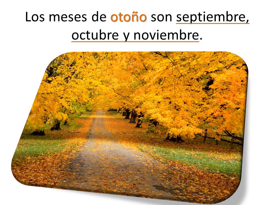 Los meses de otoño son septiembre, octubre y noviembre.