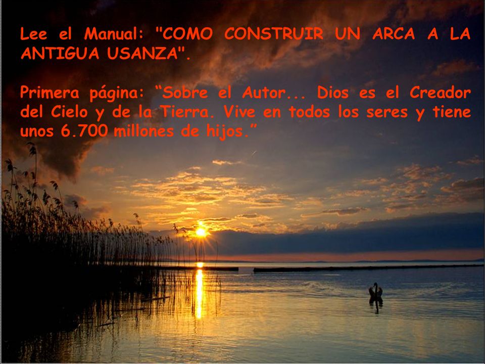 Lee el Manual: COMO CONSTRUIR UN ARCA A LA ANTIGUA USANZA .