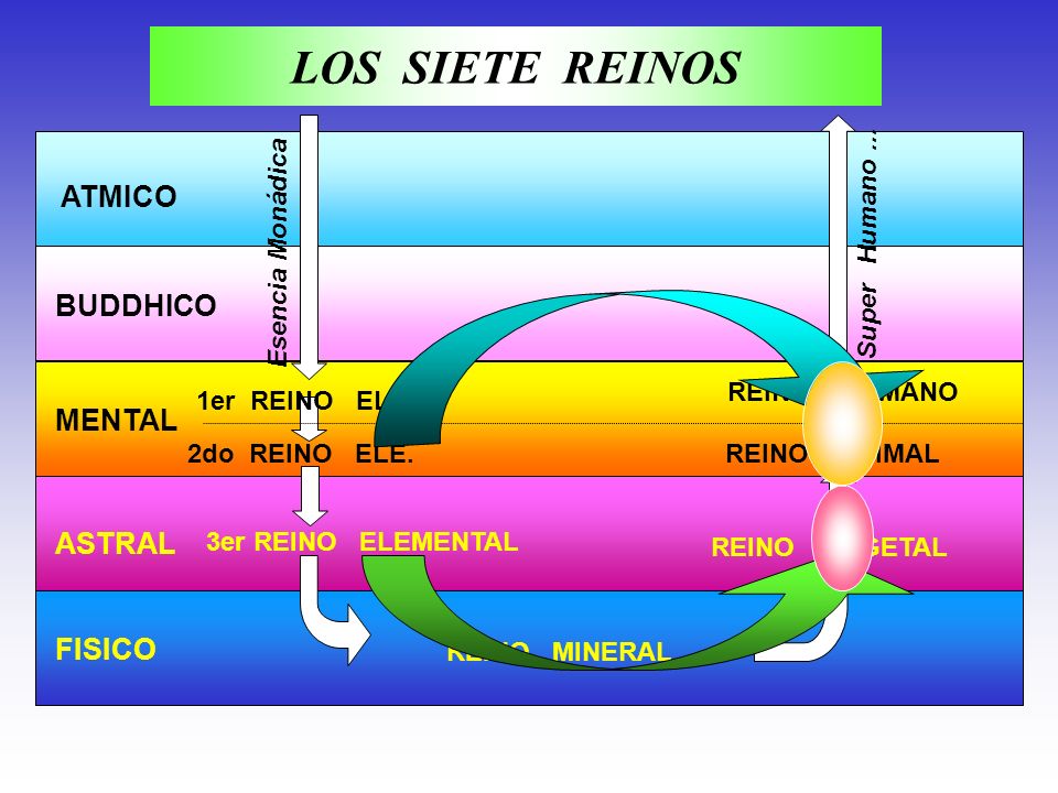 LOS SIETE REINOS ATMICO BUDDHICO MENTAL ASTRAL FISICO Super Humano ...