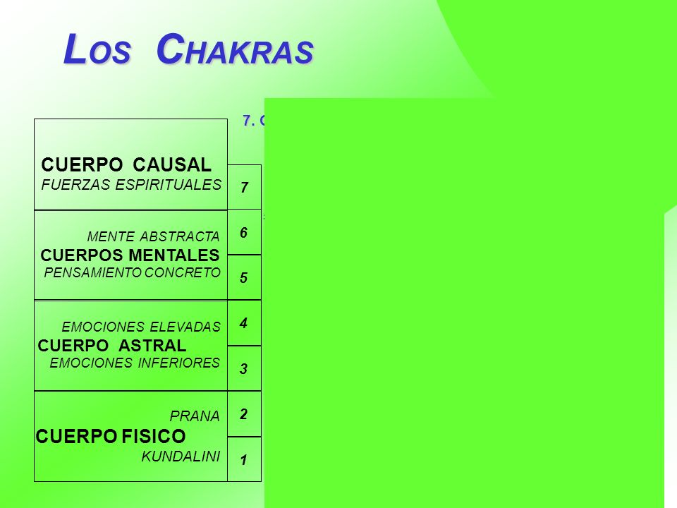 LOS CHAKRAS CUERPO CAUSAL CUERPO FISICO CUERPOS MENTALES CUERPO ASTRAL