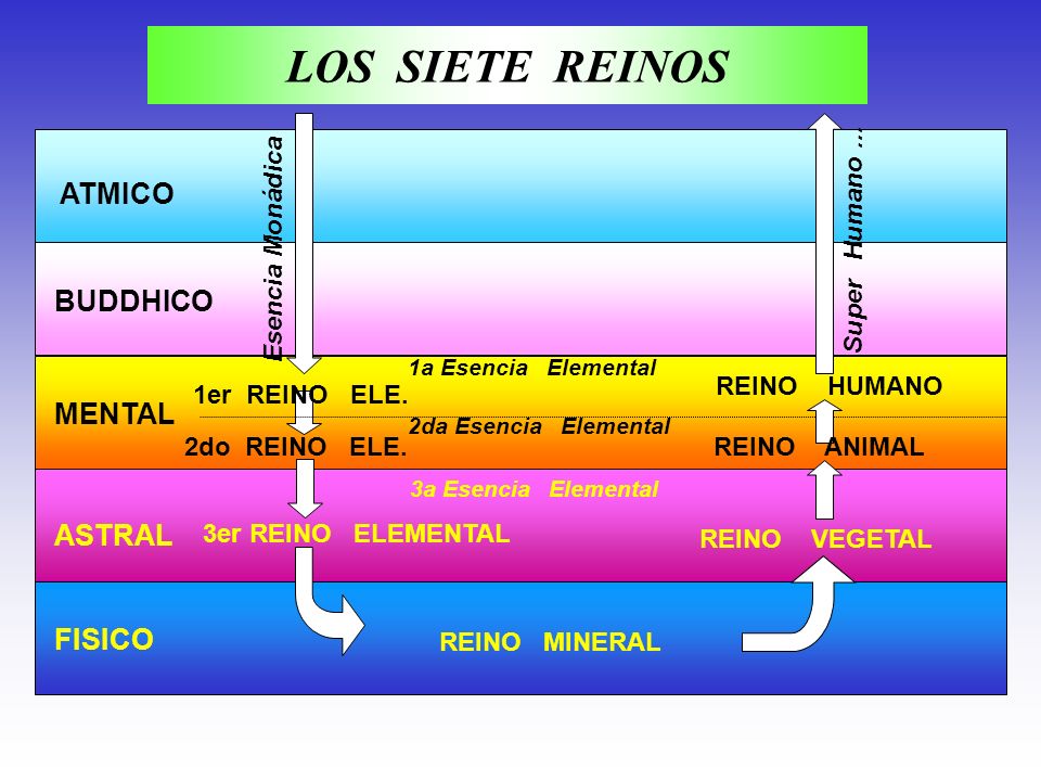 LOS SIETE REINOS ATMICO BUDDHICO MENTAL ASTRAL FISICO Super Humano ...