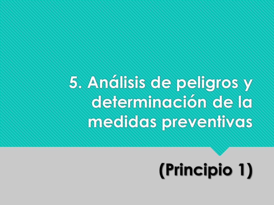 5. Análisis de peligros y determinación de la medidas preventivas