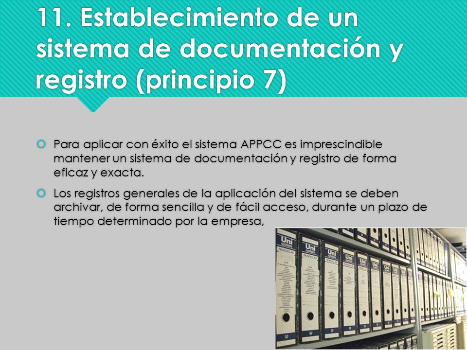 11. Establecimiento de un sistema de documentación y registro (principio 7)
