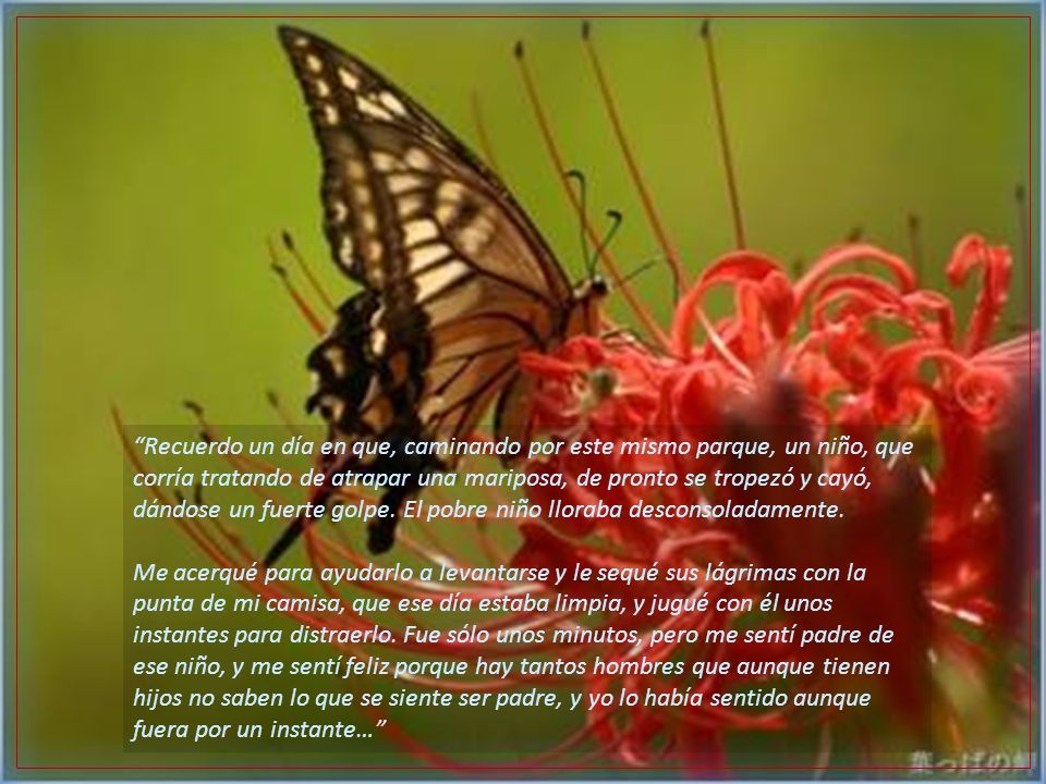 Recuerdo un día en que, caminando por este mismo parque, un niño, que corría tratando de atrapar una mariposa, de pronto se tropezó y cayó, dándose un fuerte golpe. El pobre niño lloraba desconsoladamente.