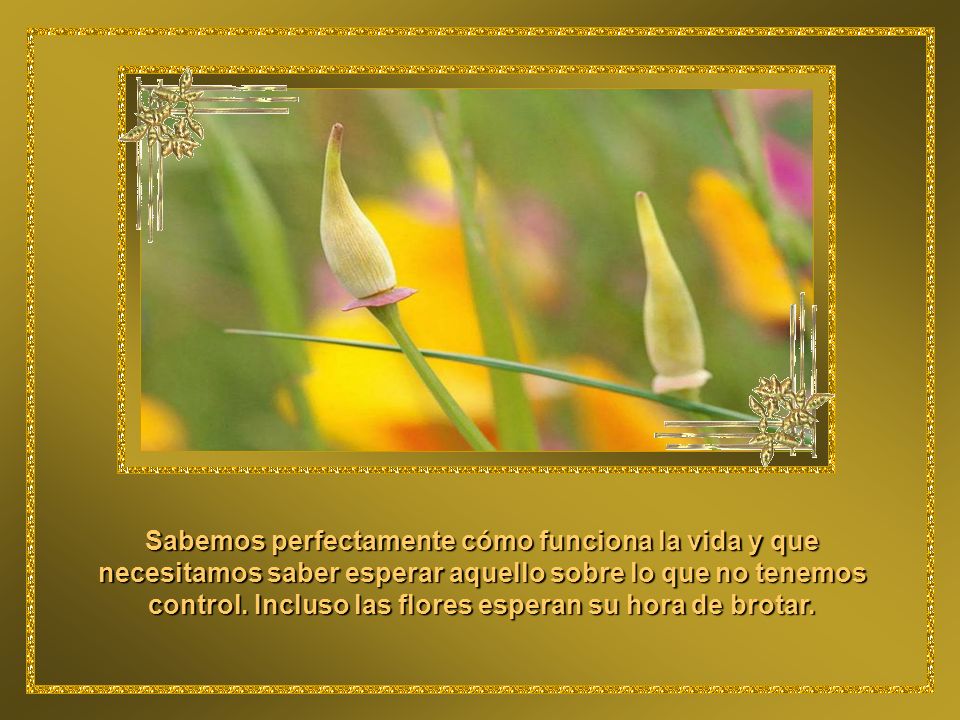 Sabemos perfectamente cómo funciona la vida y que necesitamos saber esperar aquello sobre lo que no tenemos control.