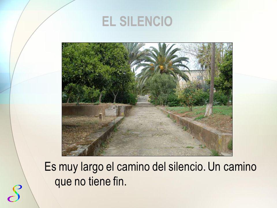 EL SILENCIO Es muy largo el camino del silencio. Un camino que no tiene fin.