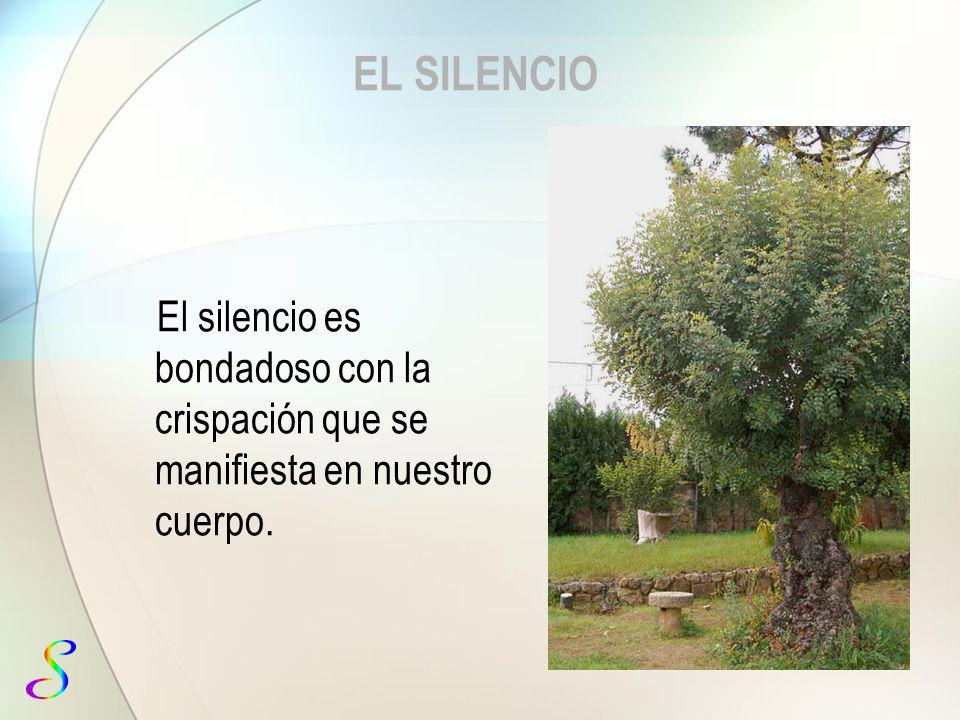 EL SILENCIO El silencio es bondadoso con la crispación que se manifiesta en nuestro cuerpo.