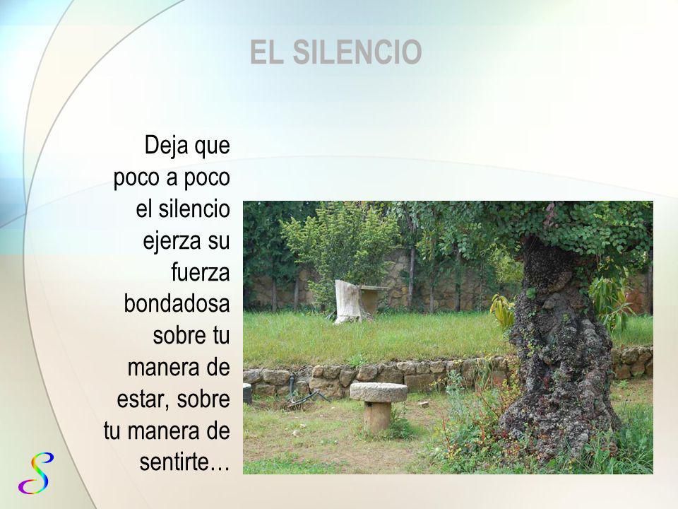 EL SILENCIO Deja que poco a poco el silencio ejerza su fuerza bondadosa sobre tu manera de estar, sobre tu manera de sentirte…