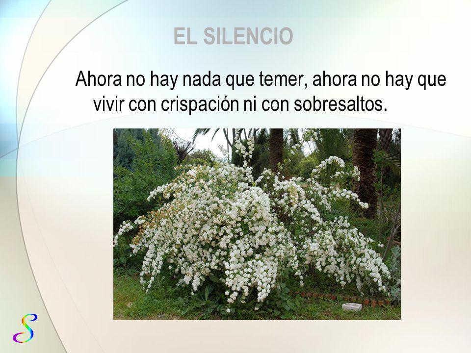 EL SILENCIO Ahora no hay nada que temer, ahora no hay que vivir con crispación ni con sobresaltos.