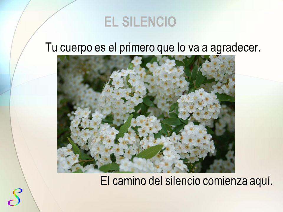 EL SILENCIO Tu cuerpo es el primero que lo va a agradecer.