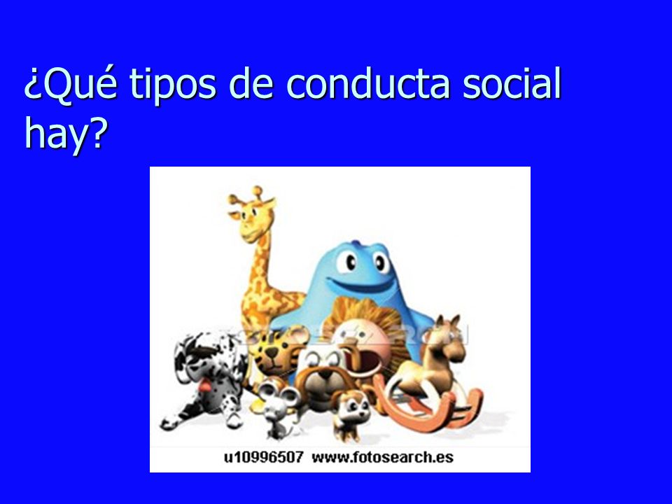¿Qué tipos de conducta social hay