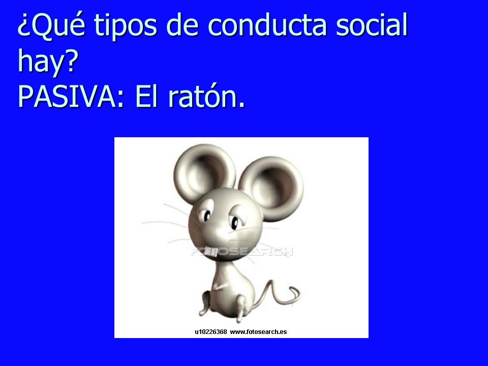 ¿Qué tipos de conducta social hay PASIVA: El ratón.