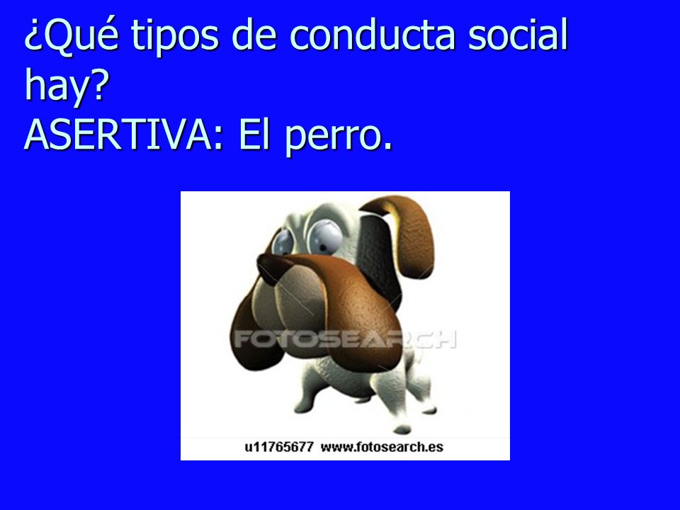 ¿Qué tipos de conducta social hay ASERTIVA: El perro.