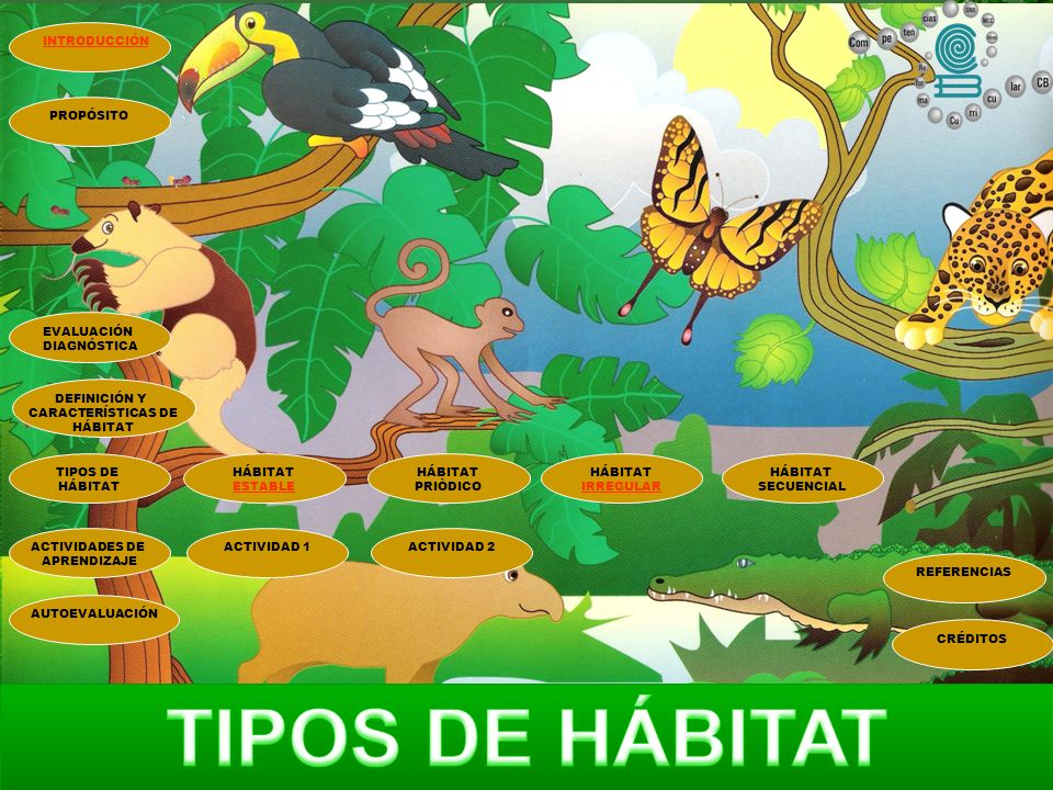 TIPOS DE HÁBITAT INTRODUCCIÓN PROPÓSITO EVALUACIÓN DIAGNÓSTICA