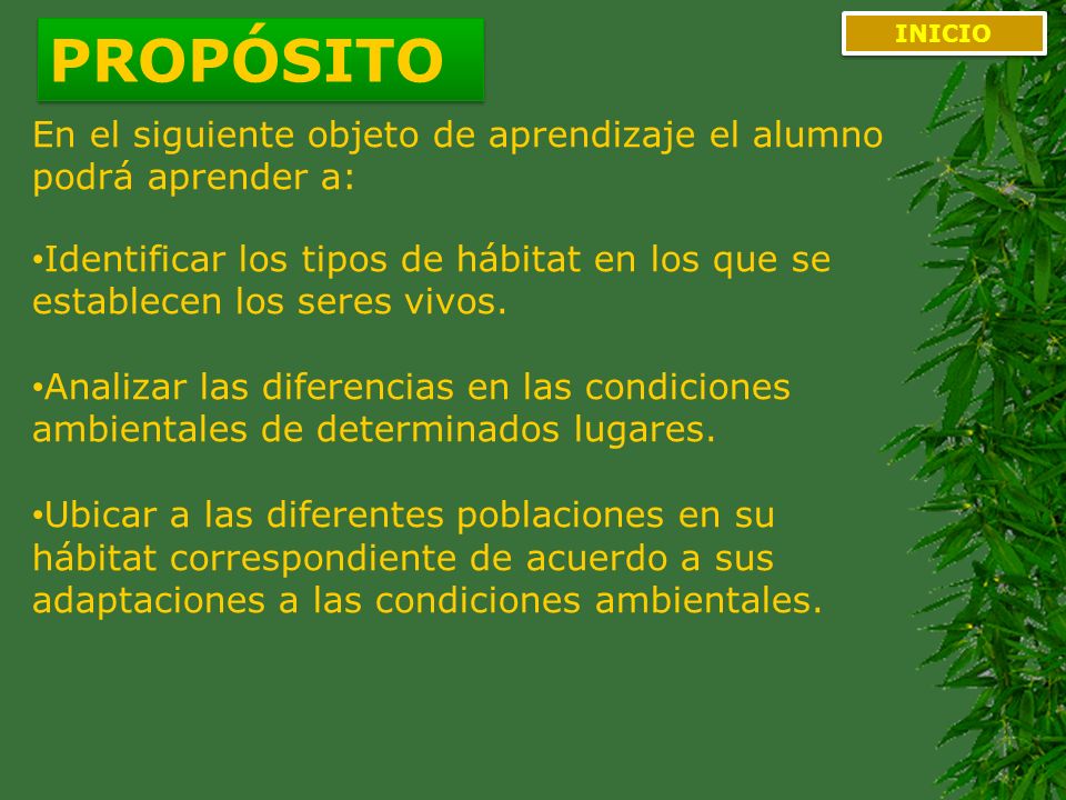 PROPÓSITO INICIO. En el siguiente objeto de aprendizaje el alumno podrá aprender a: