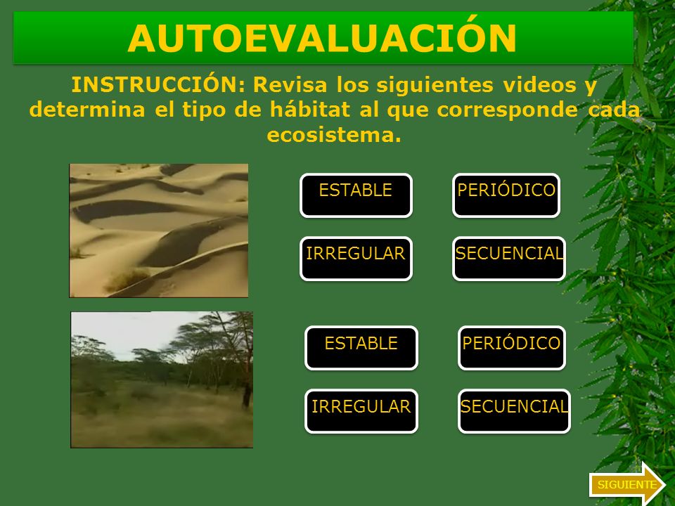AUTOEVALUACIÓN INSTRUCCIÓN: Revisa los siguientes videos y determina el tipo de hábitat al que corresponde cada ecosistema.