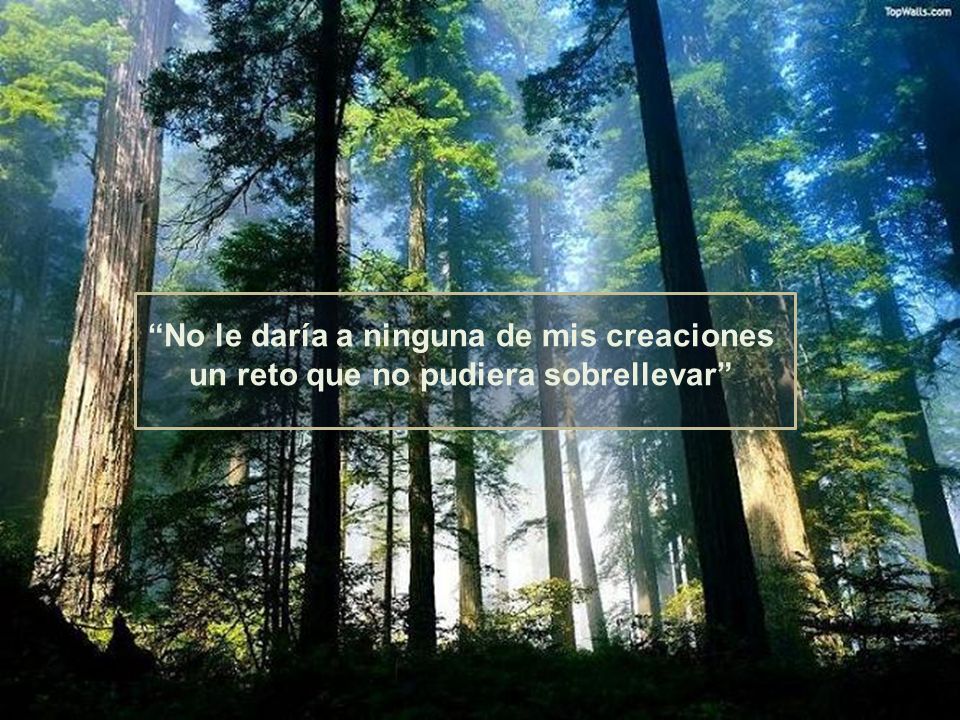 No le daría a ninguna de mis creaciones un reto que no pudiera sobrellevar