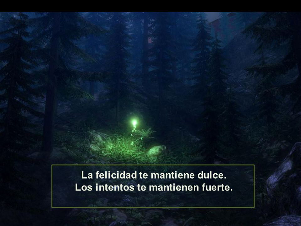La felicidad te mantiene dulce. Los intentos te mantienen fuerte.