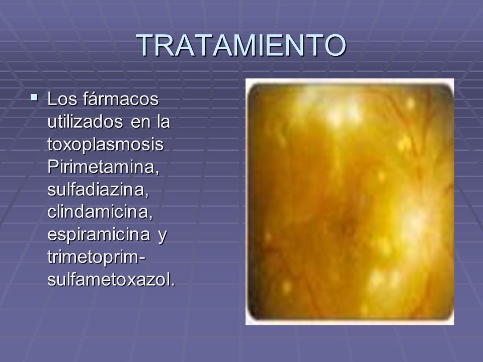 TRATAMIENTO Los fármacos utilizados en la toxoplasmosis Pirimetamina, sulfadiazina, clindamicina, espiramicina y trimetoprim-sulfametoxazol.