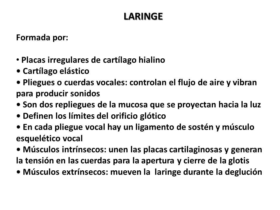 LARINGE Formada por: Placas irregulares de cartílago hialino