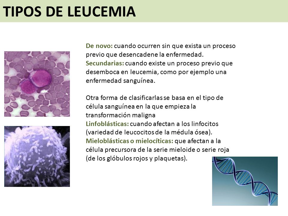 TIPOS DE LEUCEMIA De novo: cuando ocurren sin que exista un proceso previo que desencadene la enfermedad.