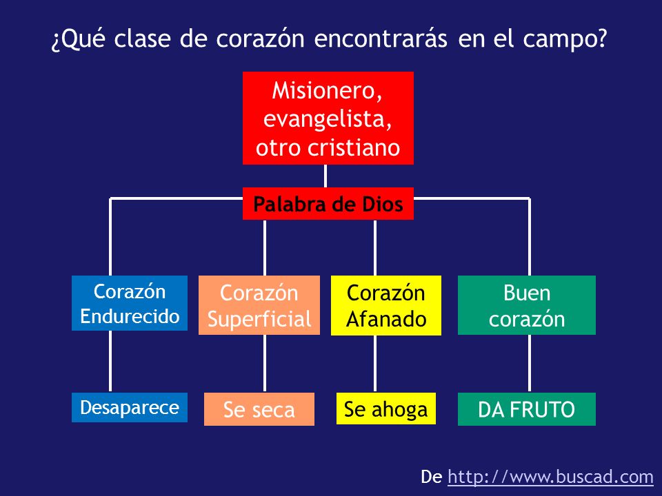Misionero, evangelista, otro cristiano