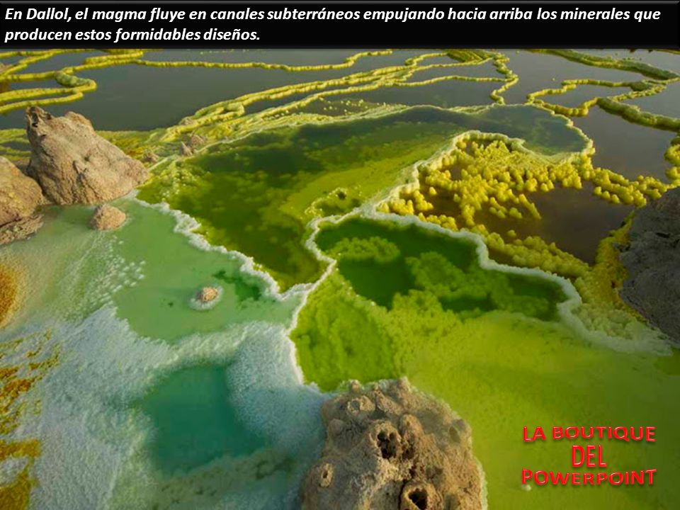En Dallol, el magma fluye en canales subterráneos empujando hacia arriba los minerales que producen estos formidables diseños.