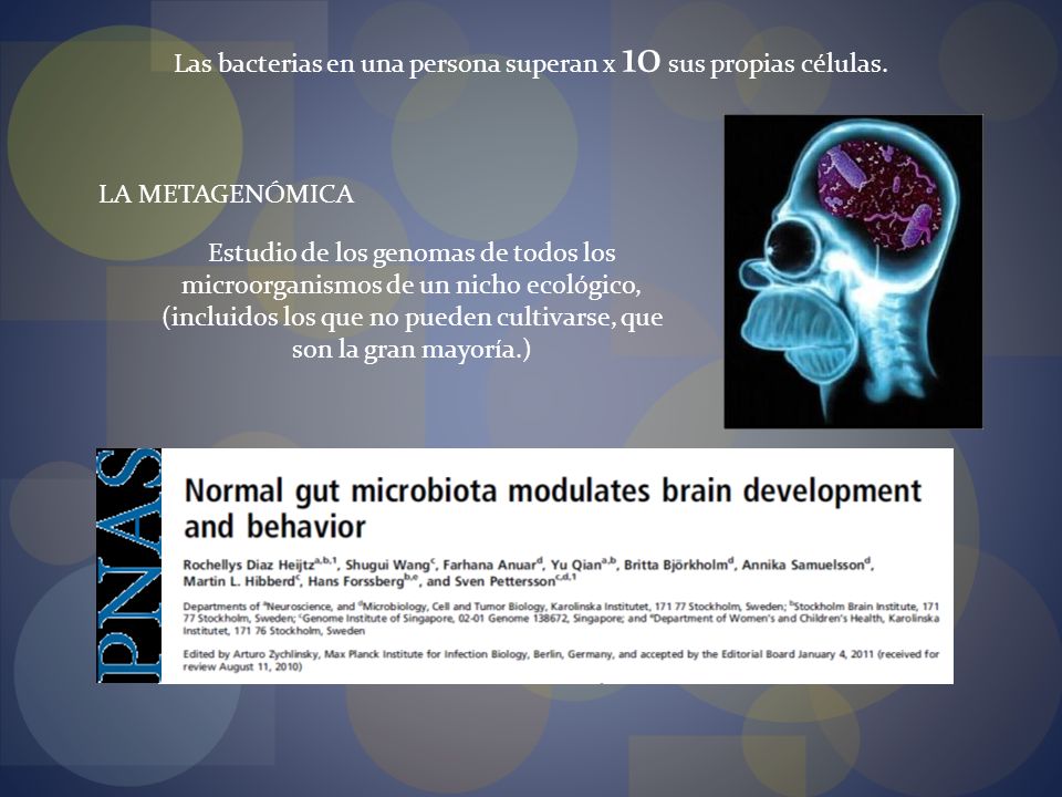 Las bacterias en una persona superan x 10 sus propias células.