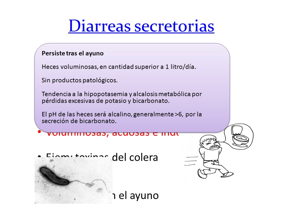Diarreas secretorias Persiste tras el ayuno. Heces voluminosas, en cantidad superior a 1 litro/día.