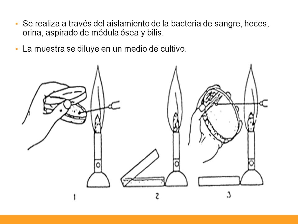 Se realiza a través del aislamiento de la bacteria de sangre, heces, orina, aspirado de médula ósea y bilis.