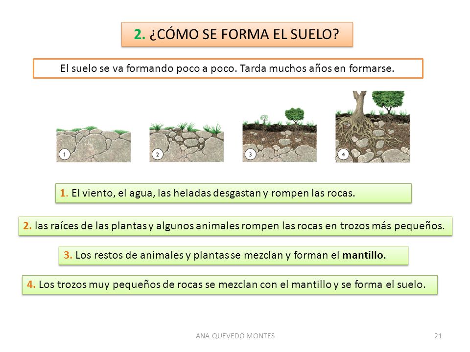 El suelo se va formando poco a poco. Tarda muchos años en formarse.