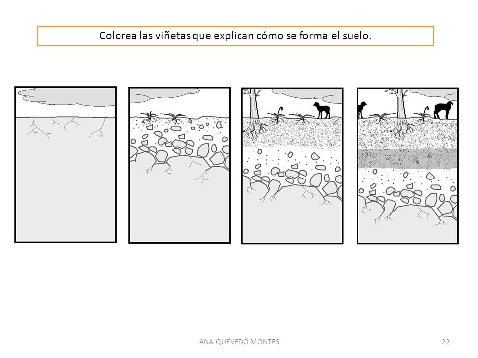 Colorea las viñetas que explican cómo se forma el suelo.