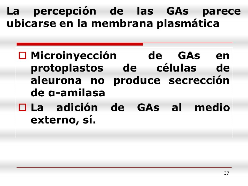 La percepción de las GAs parece ubicarse en la membrana plasmática