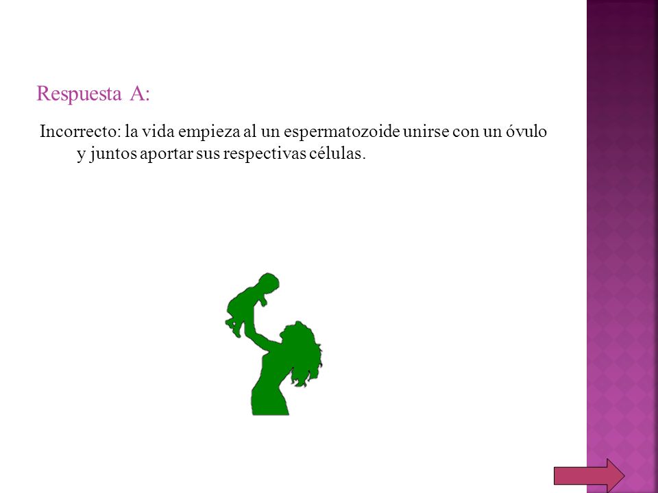 Respuesta A: Incorrecto: la vida empieza al un espermatozoide unirse con un óvulo y juntos aportar sus respectivas células.