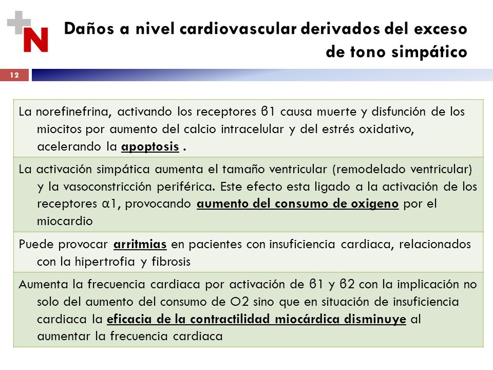 Daños a nivel cardiovascular derivados del exceso de tono simpático