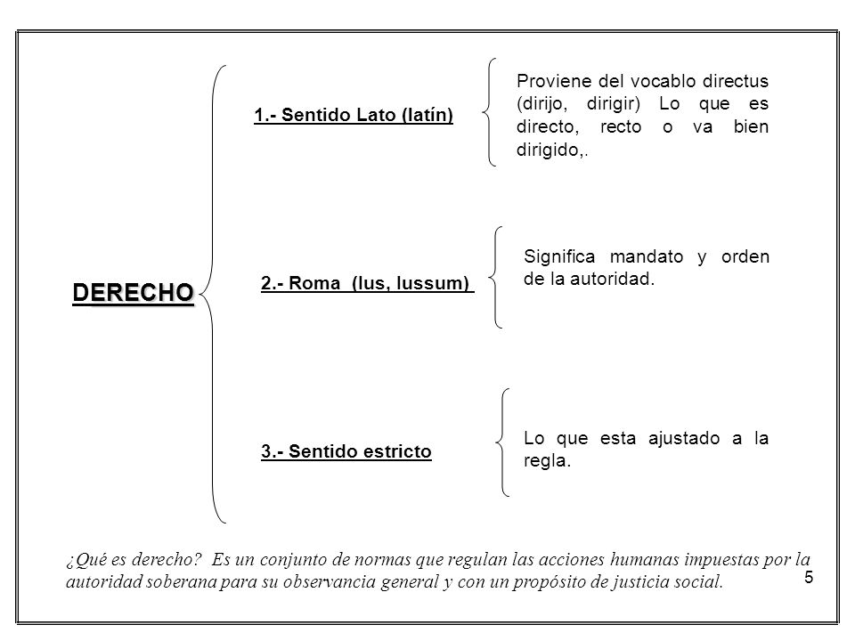 Proviene del vocablo directus (dirijo, dirigir) Lo que es directo, recto o va bien dirigido,.