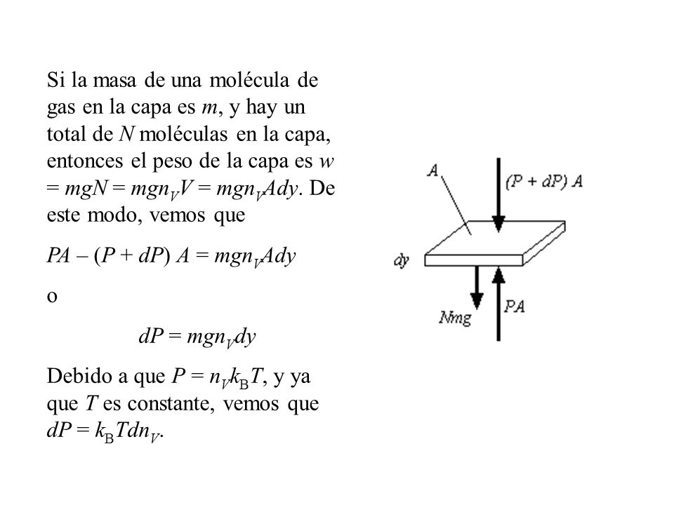 Si la masa de una molécula de gas en la capa es m, y hay un total de N moléculas en la capa, entonces el peso de la capa es w = mgN = mgnVV = mgnVAdy. De este modo, vemos que