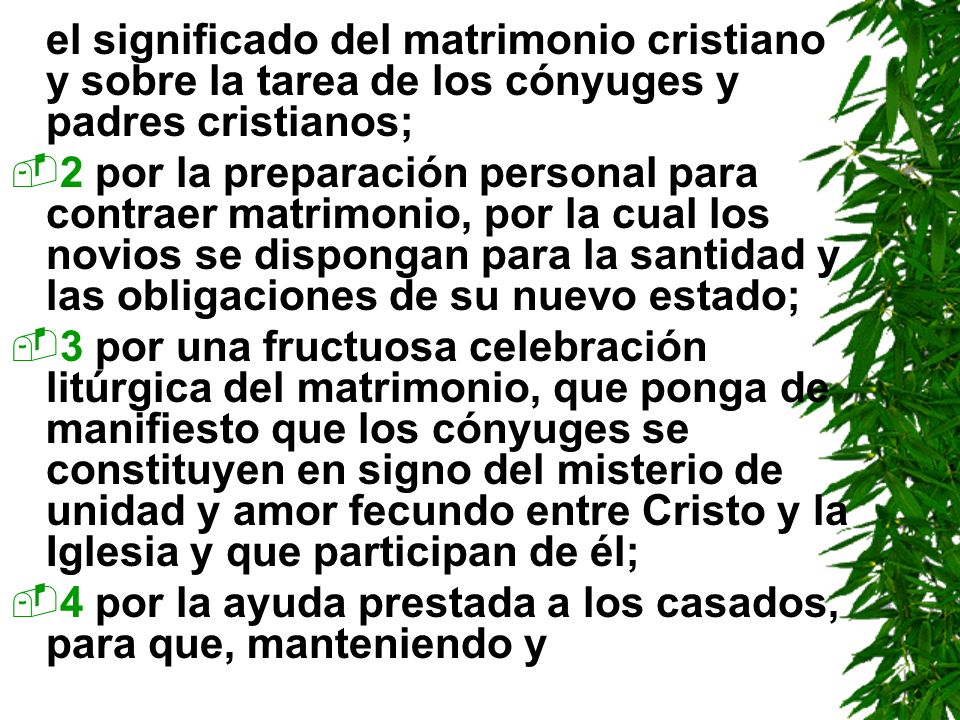 el significado del matrimonio cristiano y sobre la tarea de los cónyuges y padres cristianos;