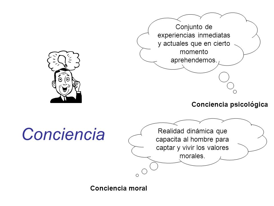 Conjunto de experiencias inmediatas y actuales que en cierto momento aprehendemos.