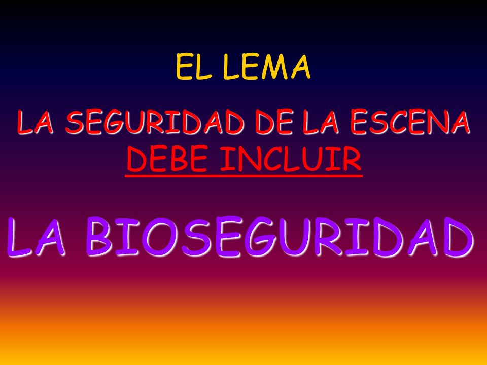 LA SEGURIDAD DE LA ESCENA DEBE INCLUIR