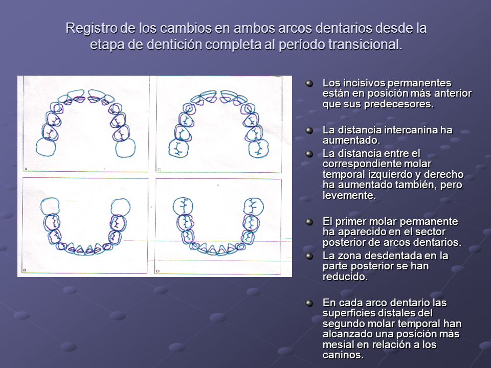Registro de los cambios en ambos arcos dentarios desde la etapa de dentición completa al período transicional.