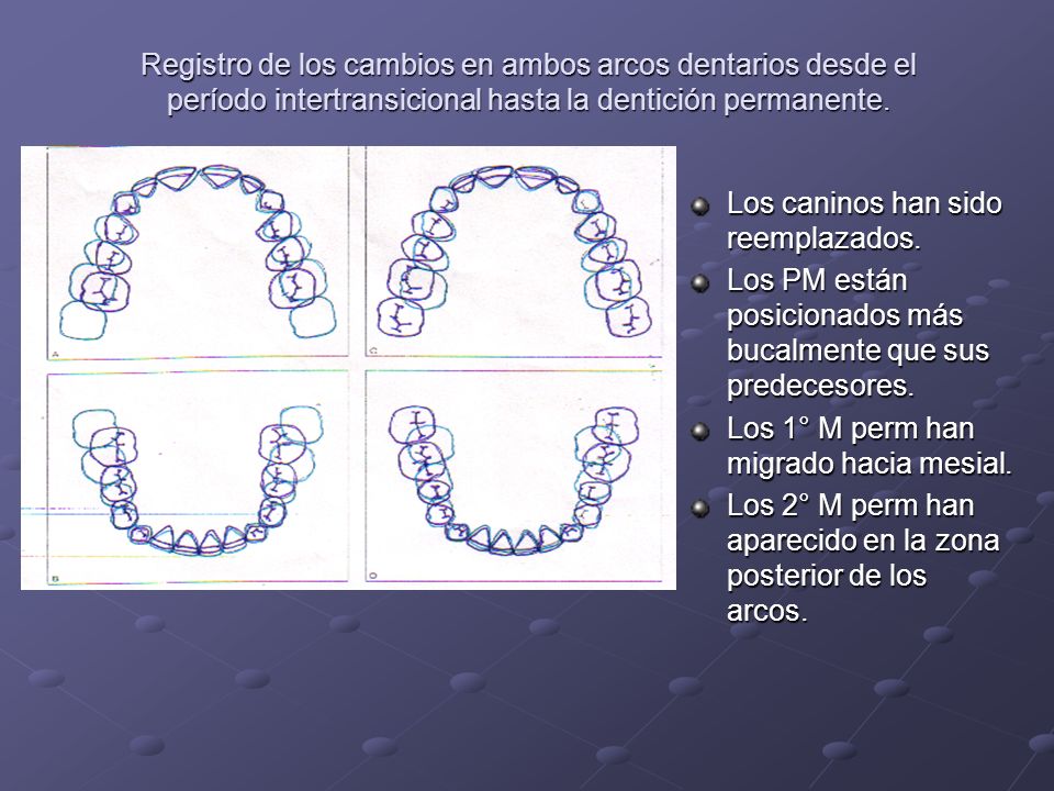 Registro de los cambios en ambos arcos dentarios desde el período intertransicional hasta la dentición permanente.